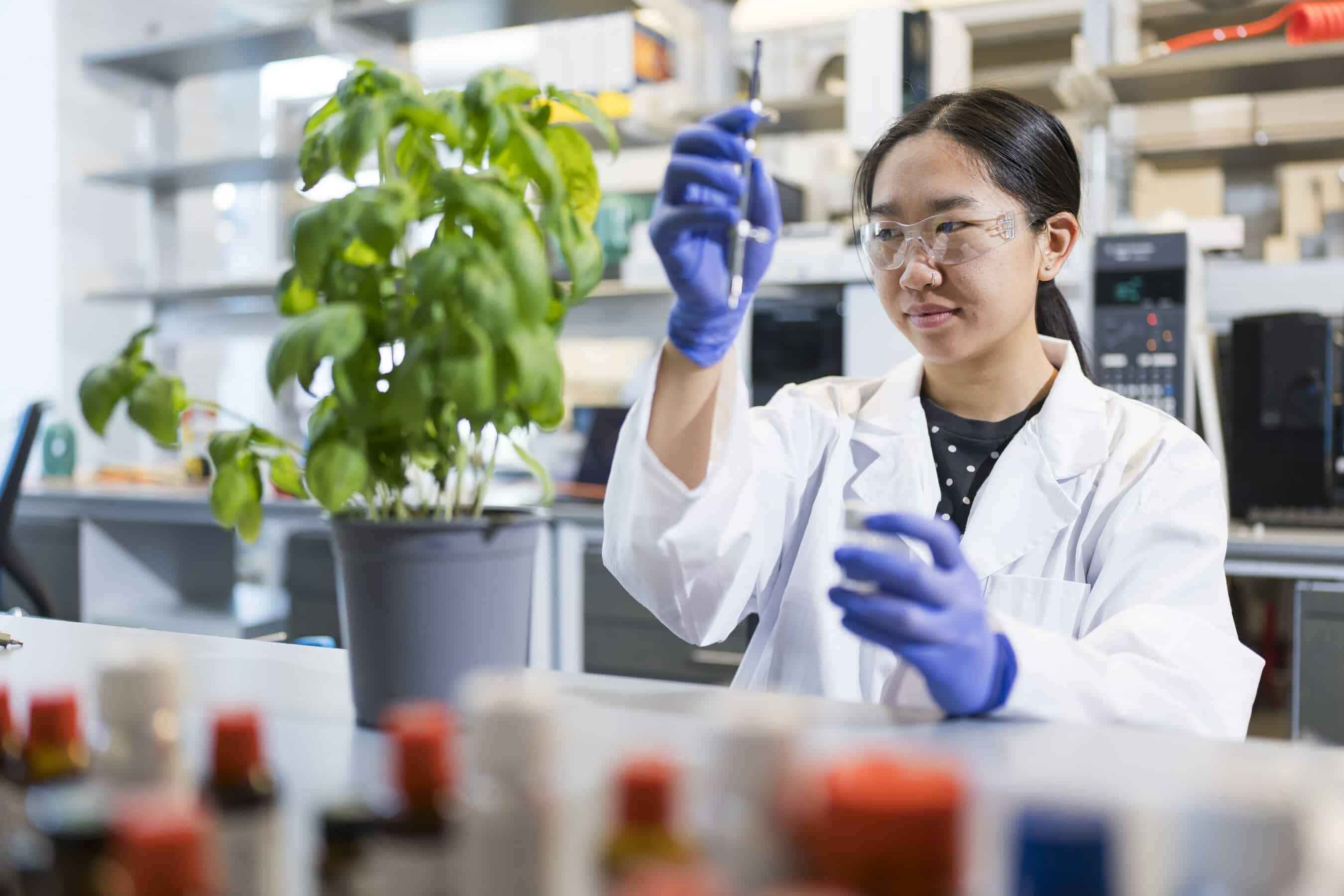 The Gates Foundation granted Osmo $3.5 million to develop AI-driven scents that repel disease-carrying insects.