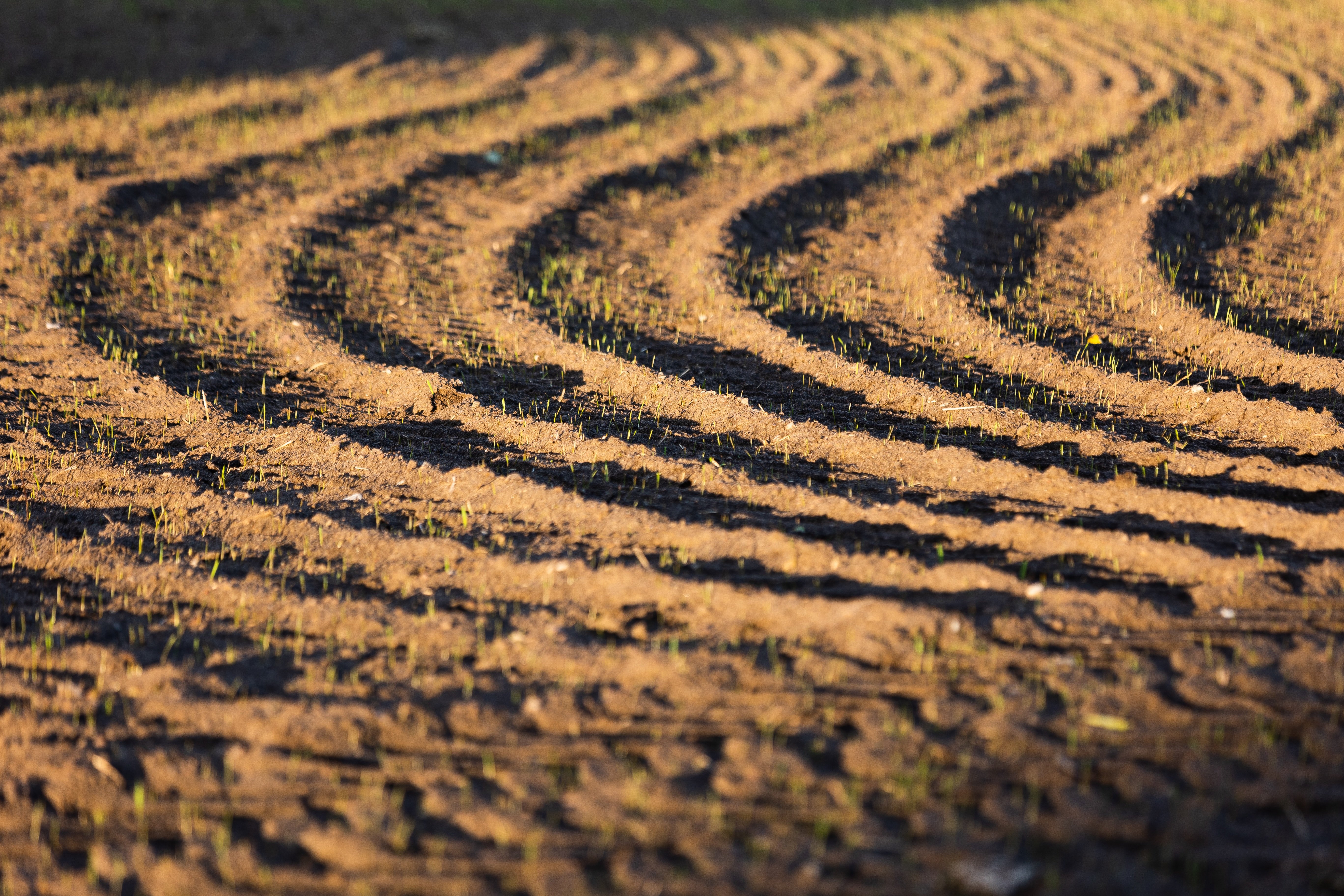 CoteX Technologies & Nutrien Partner to Enhance Nitrogen Sustainability