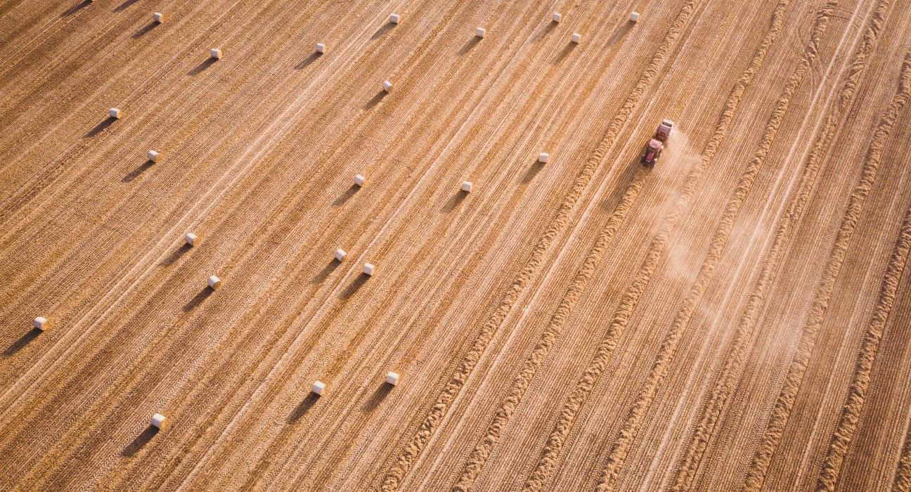 ForFarmers Reports Positive EBITDA Recovery in Q3 2023 Despite Sales Volume Decline