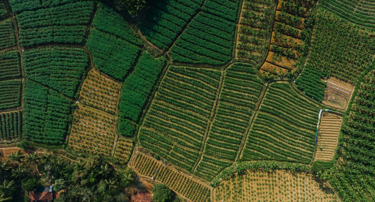 Agriculture contributes 20% of India’s income and could reach $600 billion in GDP by 2030.