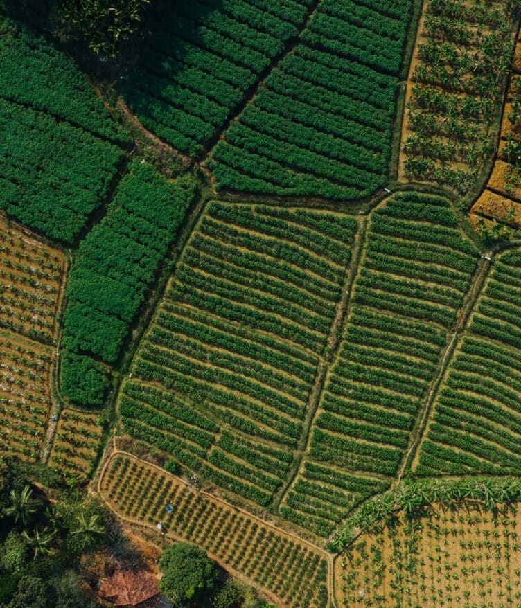 Agriculture contributes 20% of India’s income and could reach $600 billion in GDP by 2030.