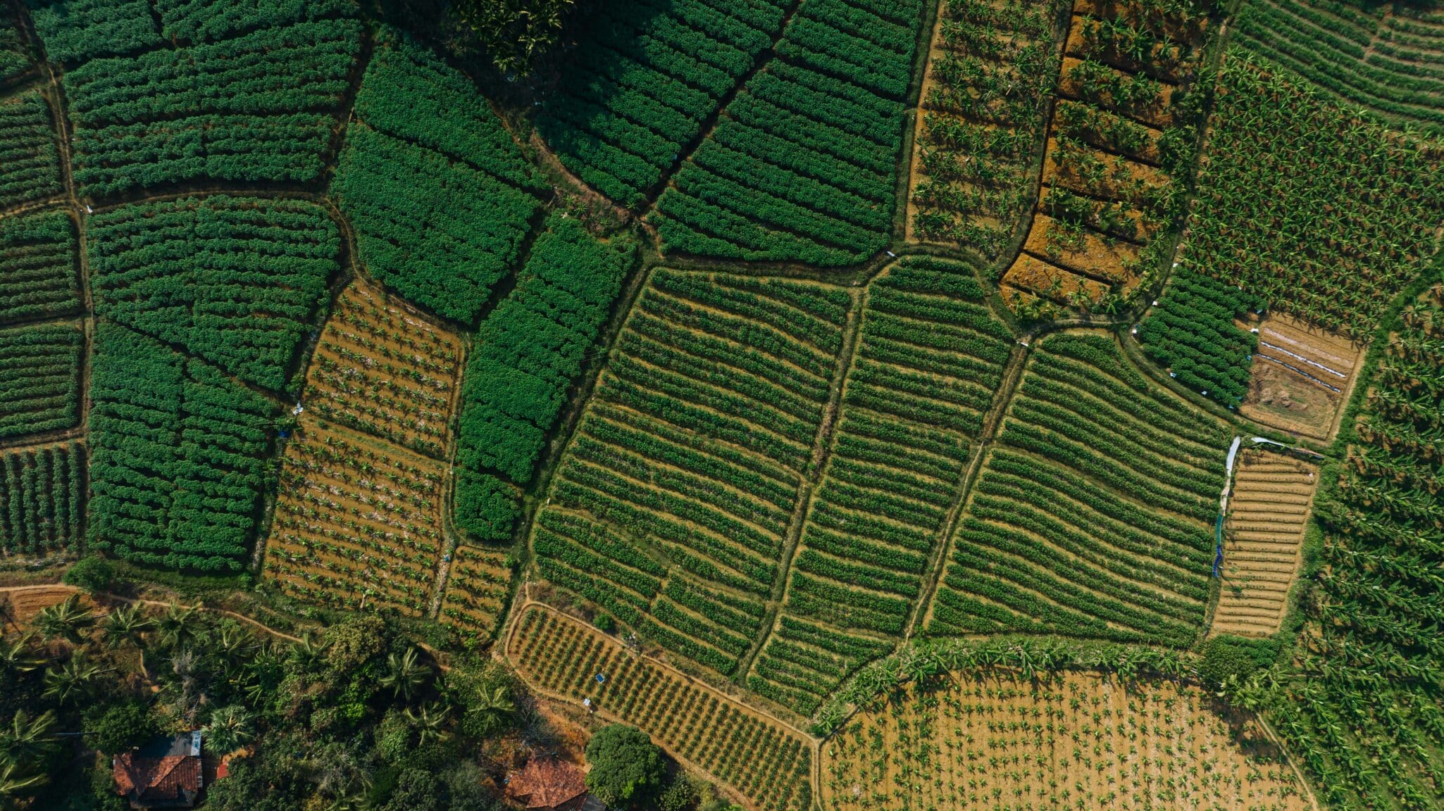 Agriculture contributes 20% of India’s income and could reach $600 billion in GDP by 2030.