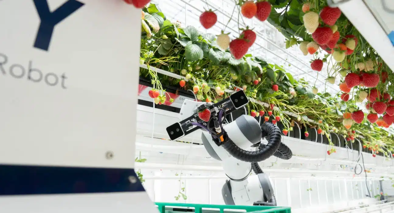 The EBZ Group, a leading supplier to the automotive industry specializing in tool and plant engineering, has acquired a majority stake in Organifarms effective 1 July 2025.