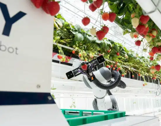 The EBZ Group, a leading supplier to the automotive industry specializing in tool and plant engineering, has acquired a majority stake in Organifarms effective 1 July 2025.