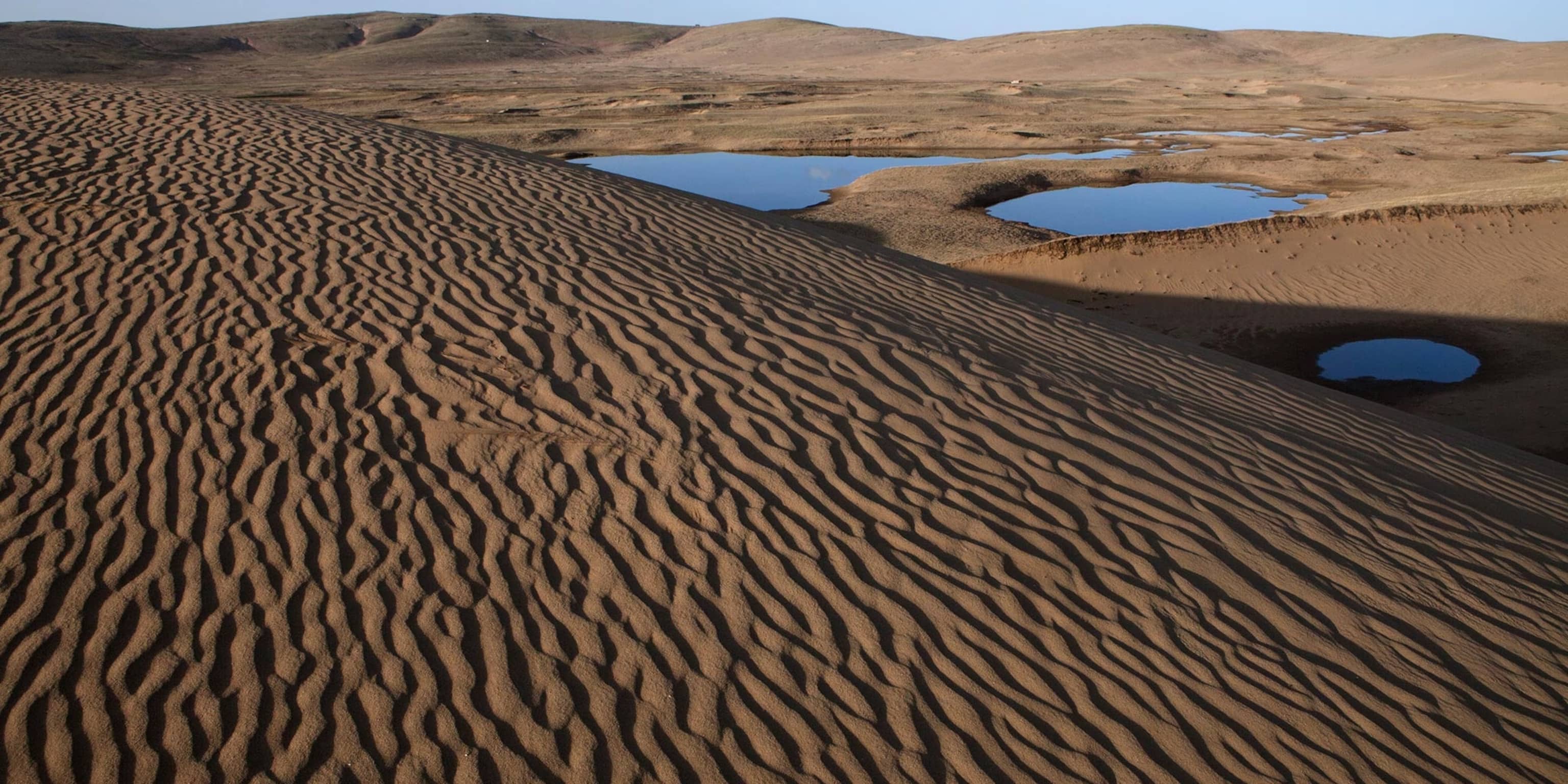 The START AgriTech Program, in collaboration with Arieli Capital, supports AgTech and Desert Tech startups to tackle climate challenges. AgTech; AgriTech; Agriculture Technology