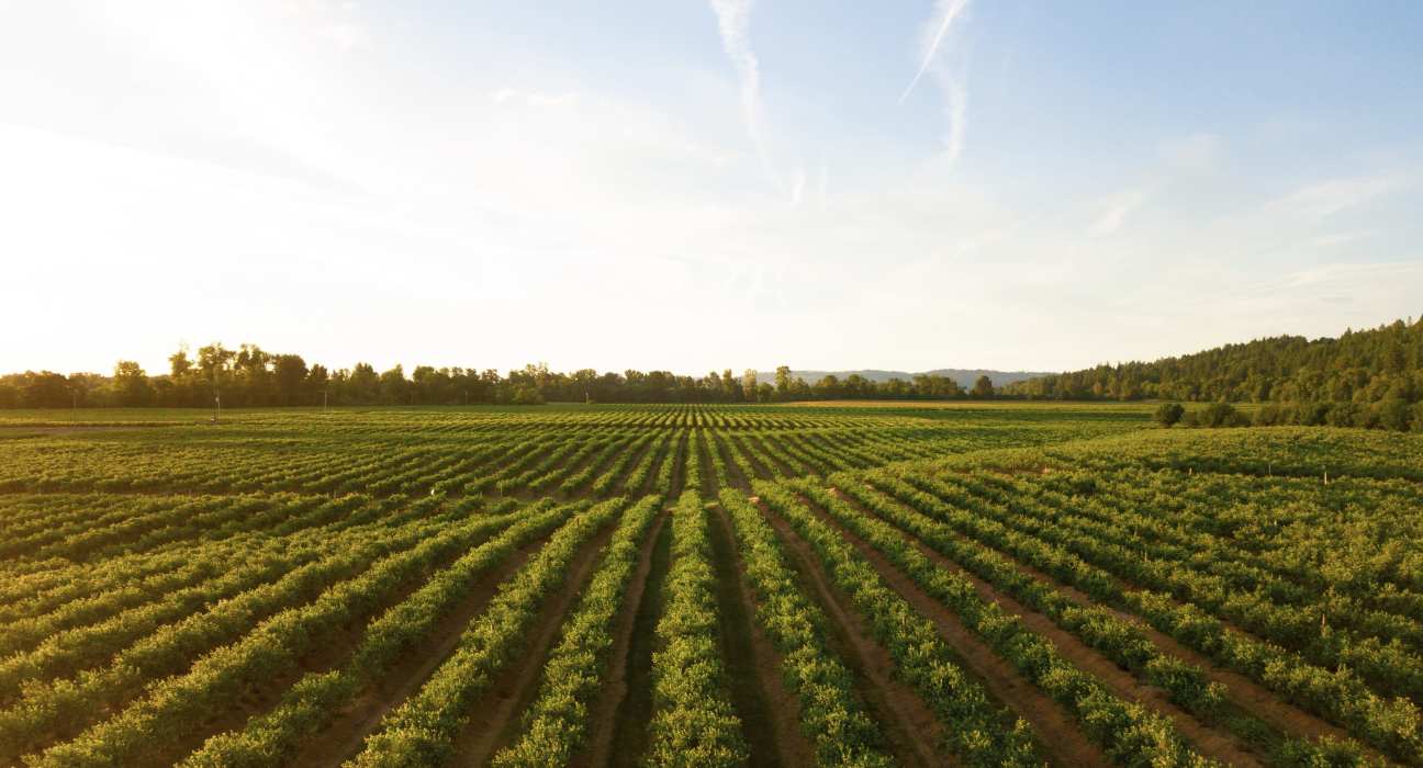 The 2023 Ag Economy Barometer indicates increased agricultural optimism due to improved financial outlooks and market shifts.