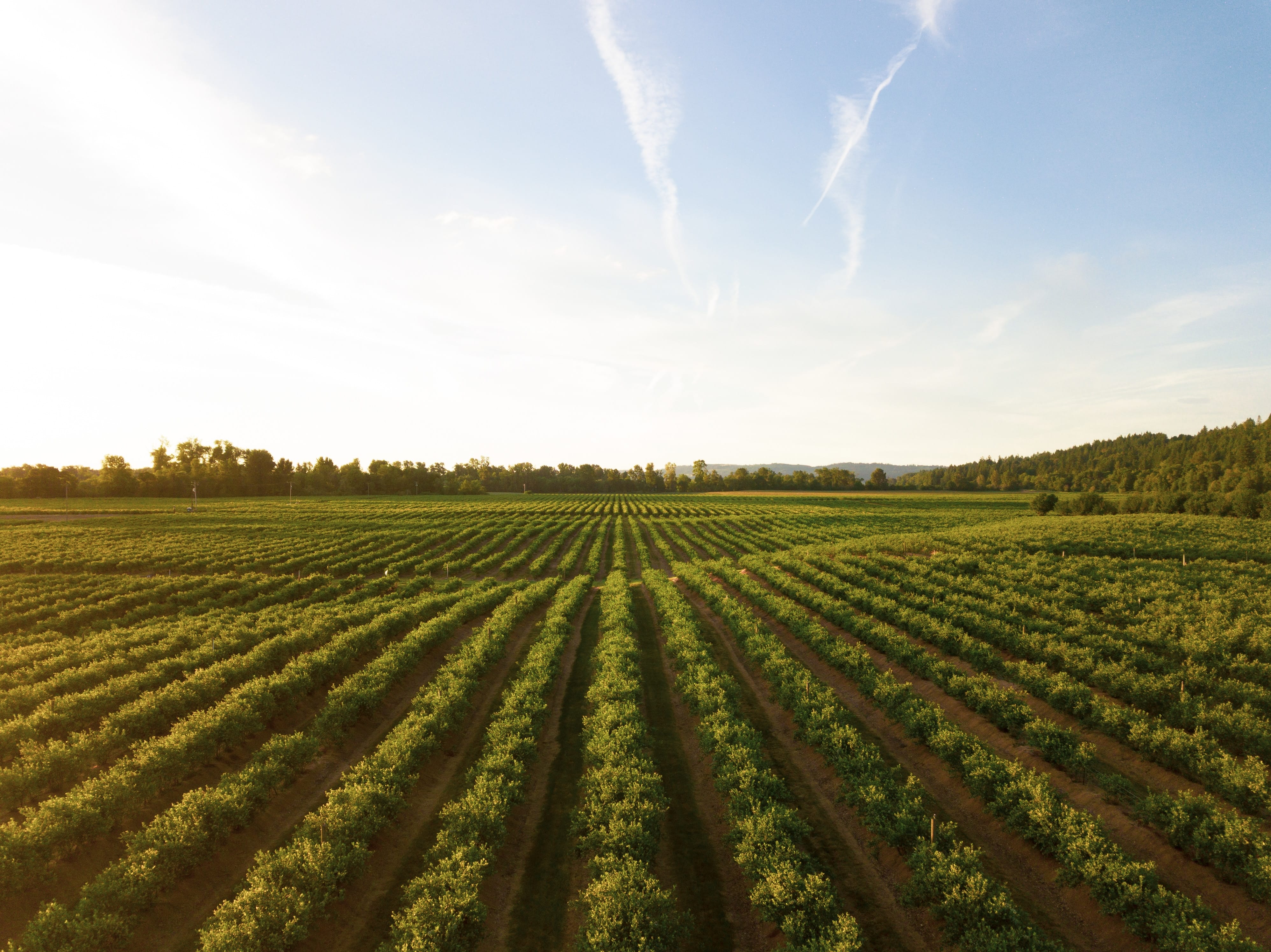 The 2023 Ag Economy Barometer indicates increased agricultural optimism due to improved financial outlooks and market shifts.
