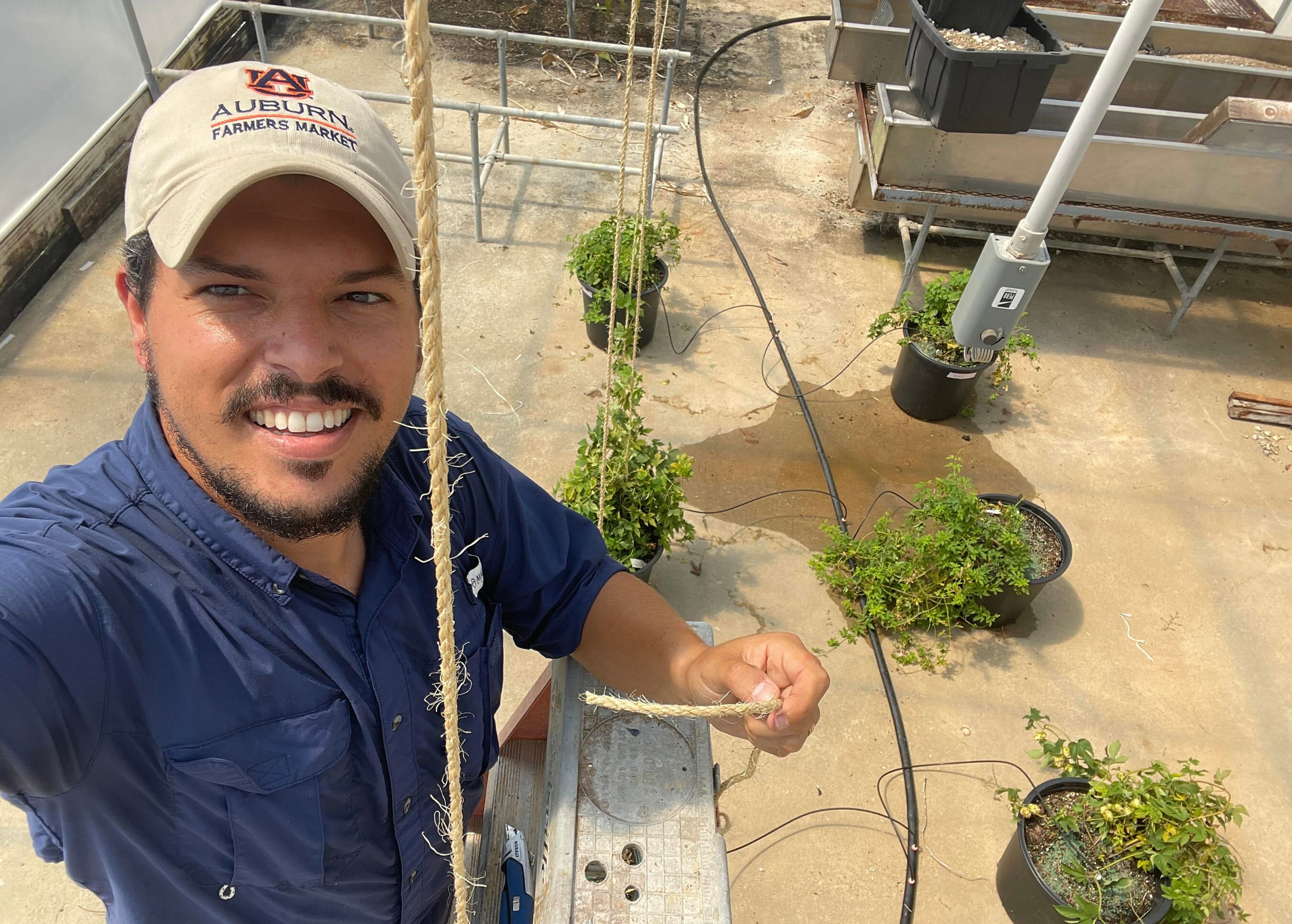 Auburn University College of Agriculture Assistant Professor Andre da Silva is conducting pioneering research on cultivating hops in Alabama