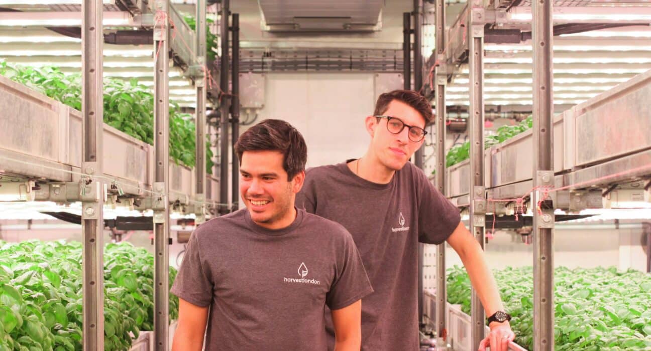 In February 2025, Harvest London launched a highly visible vertical farming installation at Corner Corner, a mixed-use venue in Canada Water.