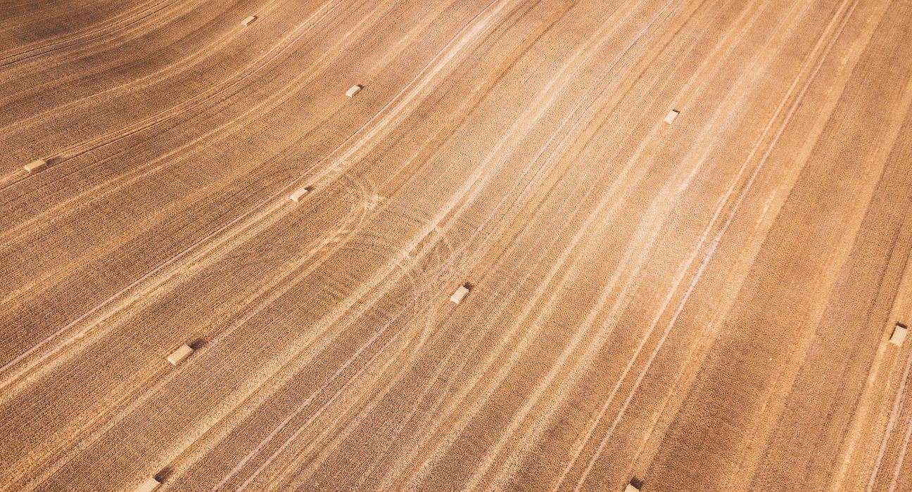 In its 2023 Sustainability Report, Universal Corporation showcases a robust commitment to environmental, social & supply chain sustainability