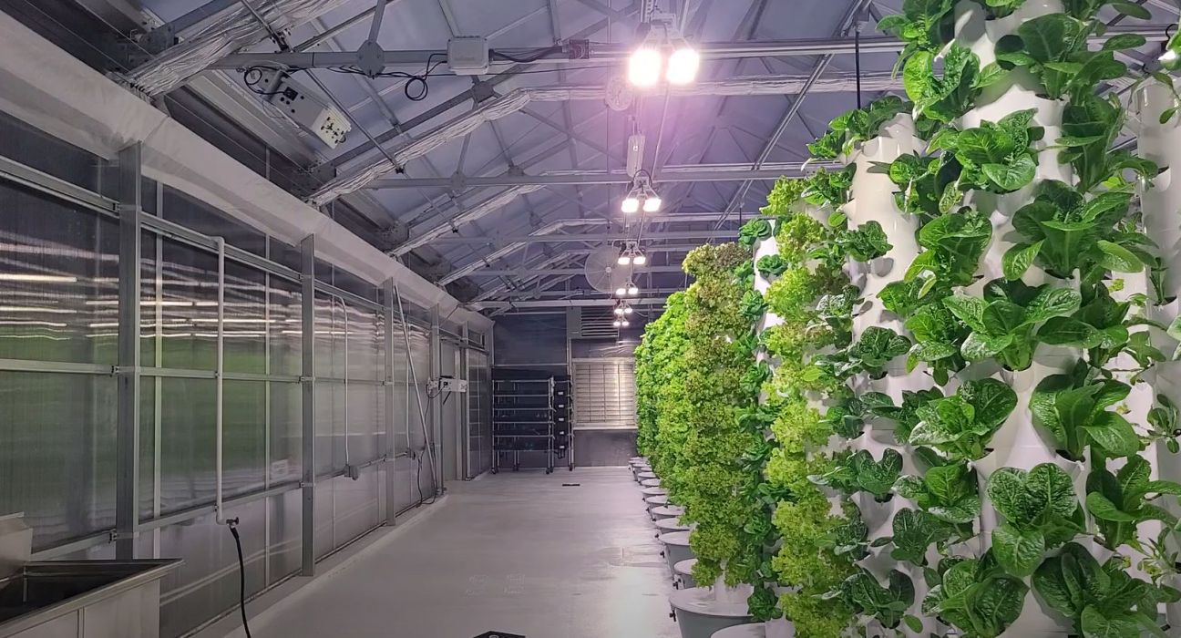 SpectraGrow has partnered with Leaficient & Good Life Farms to implement an autonomous greenhouse lighting control system in Arkansas