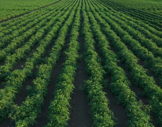 Kula Bio has successfully closed its Series A-1 funding round, signaling strong investor confidence in its sustainable nitrogen technology.