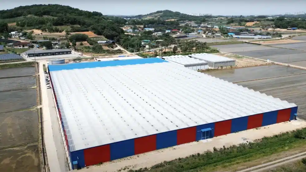 GreenPlus Co. proudly announced the official commissioning of its smart farm system, managed by its subsidiary, Green K-Farm.
