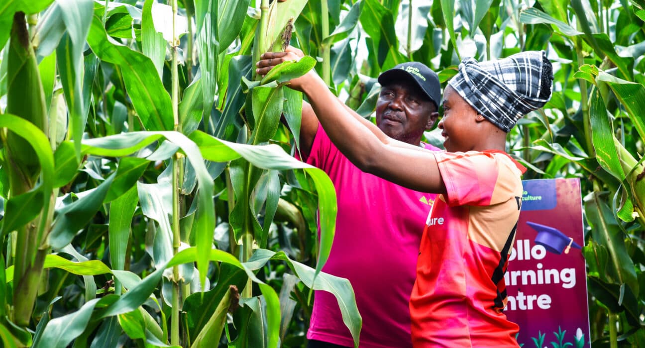 Kaleidofin and Apollo Agriculture have closed Kenya's first private-sector local currency securitisation in the smallholder agriculture sector, backed by the IDH Farmfit Fund as anchor investor.