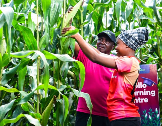 Kaleidofin and Apollo Agriculture have closed Kenya's first private-sector local currency securitisation in the smallholder agriculture sector, backed by the IDH Farmfit Fund as anchor investor.