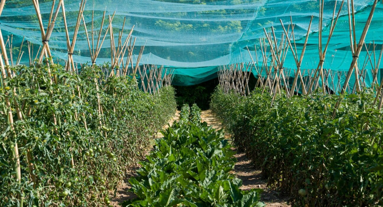 Gowan Company integrates Ceradis to expand global crop protection, strengthen R&D, and deliver sustainable, science-driven solutions.