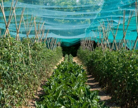 Gowan Company integrates Ceradis to expand global crop protection, strengthen R&D, and deliver sustainable, science-driven solutions.
