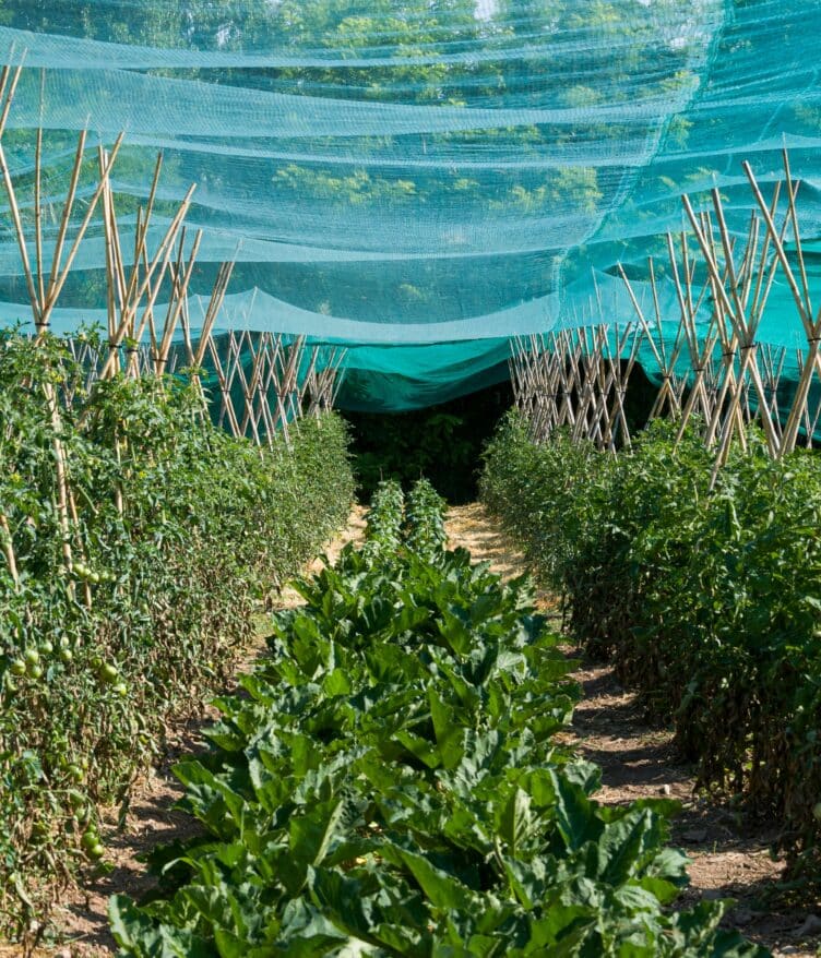 Gowan Company integrates Ceradis to expand global crop protection, strengthen R&D, and deliver sustainable, science-driven solutions.