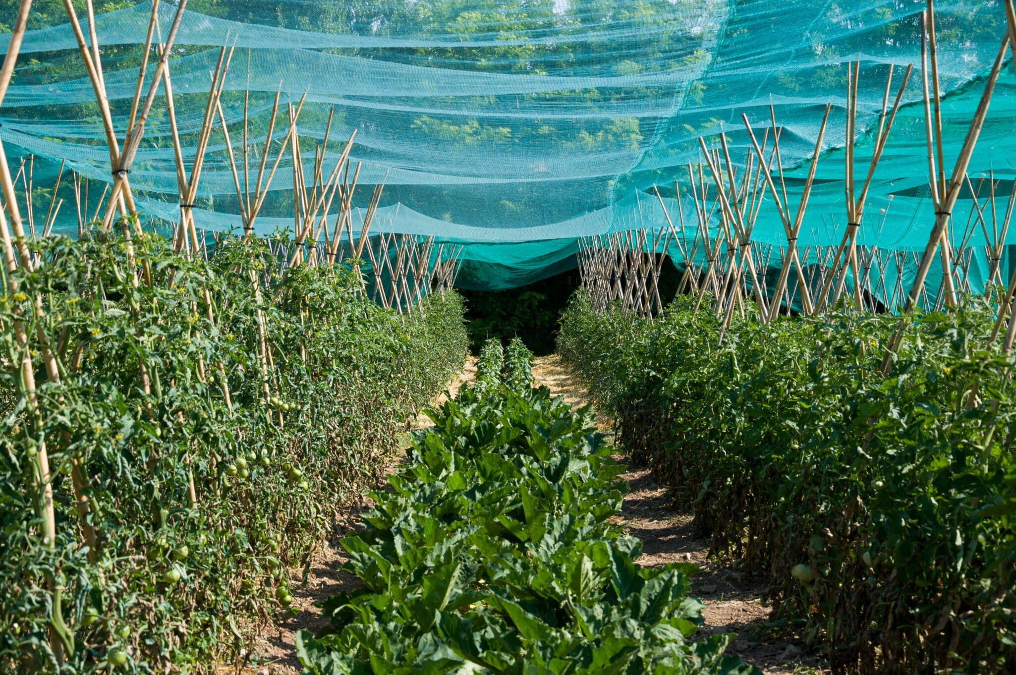 Gowan Company integrates Ceradis to expand global crop protection, strengthen R&D, and deliver sustainable, science-driven solutions.