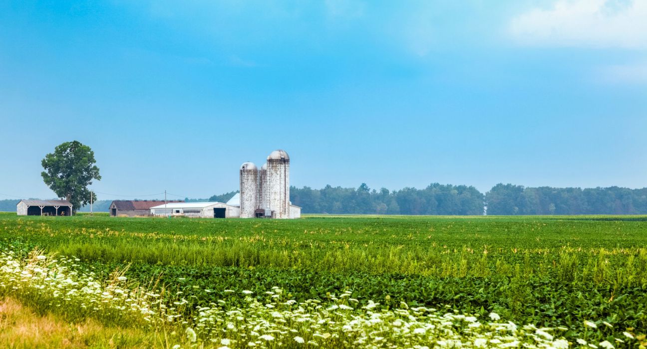 The Ohio Department of Agriculture offers financial support to businesses in the middle of the food chain through a $12.6M federal grant.
