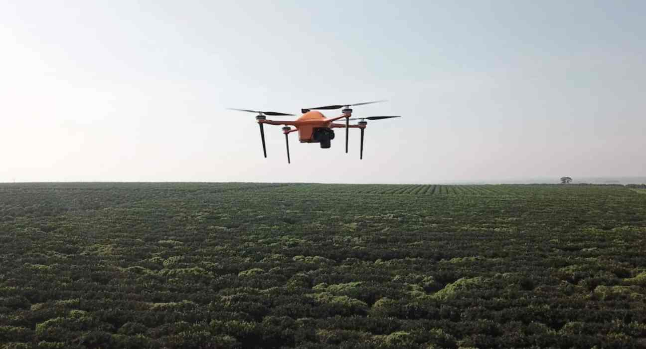 Israel-based SeeTree, specializing in digitizing tree health monitoring using AI and drones, has raised $17.5 million in Series C funding