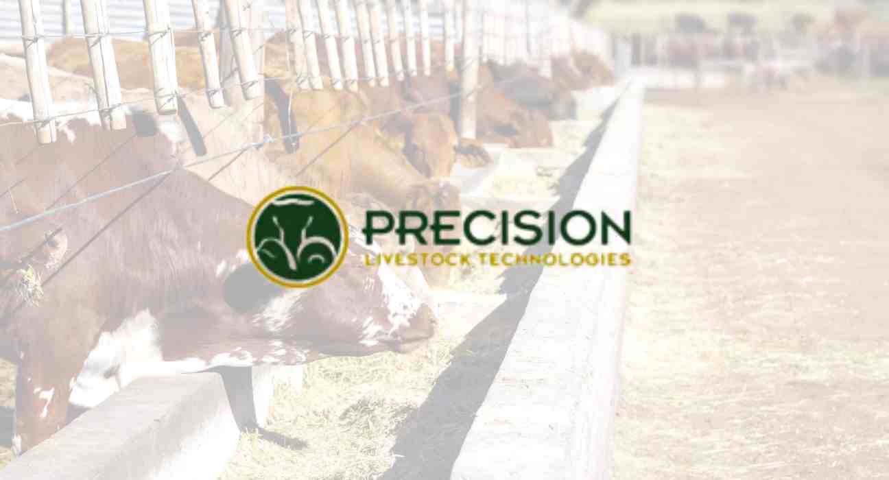 Precision Livestock Technologies (PLT) has introduced an AI system to predict cattle feed intake and recommend feeding.
