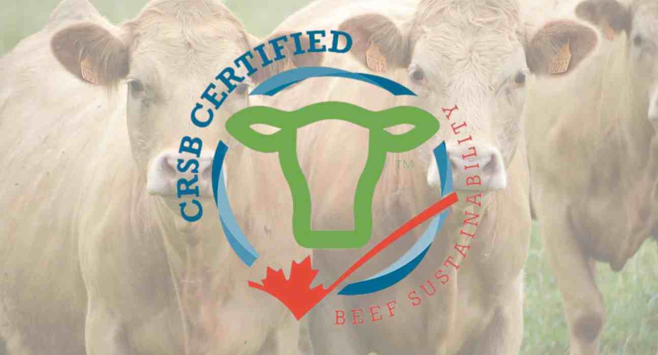 The Canadian Roundtable for Sustainable Beef (CRSB) has released its second National Beef Sustainability Assessment (NBSA) report.
