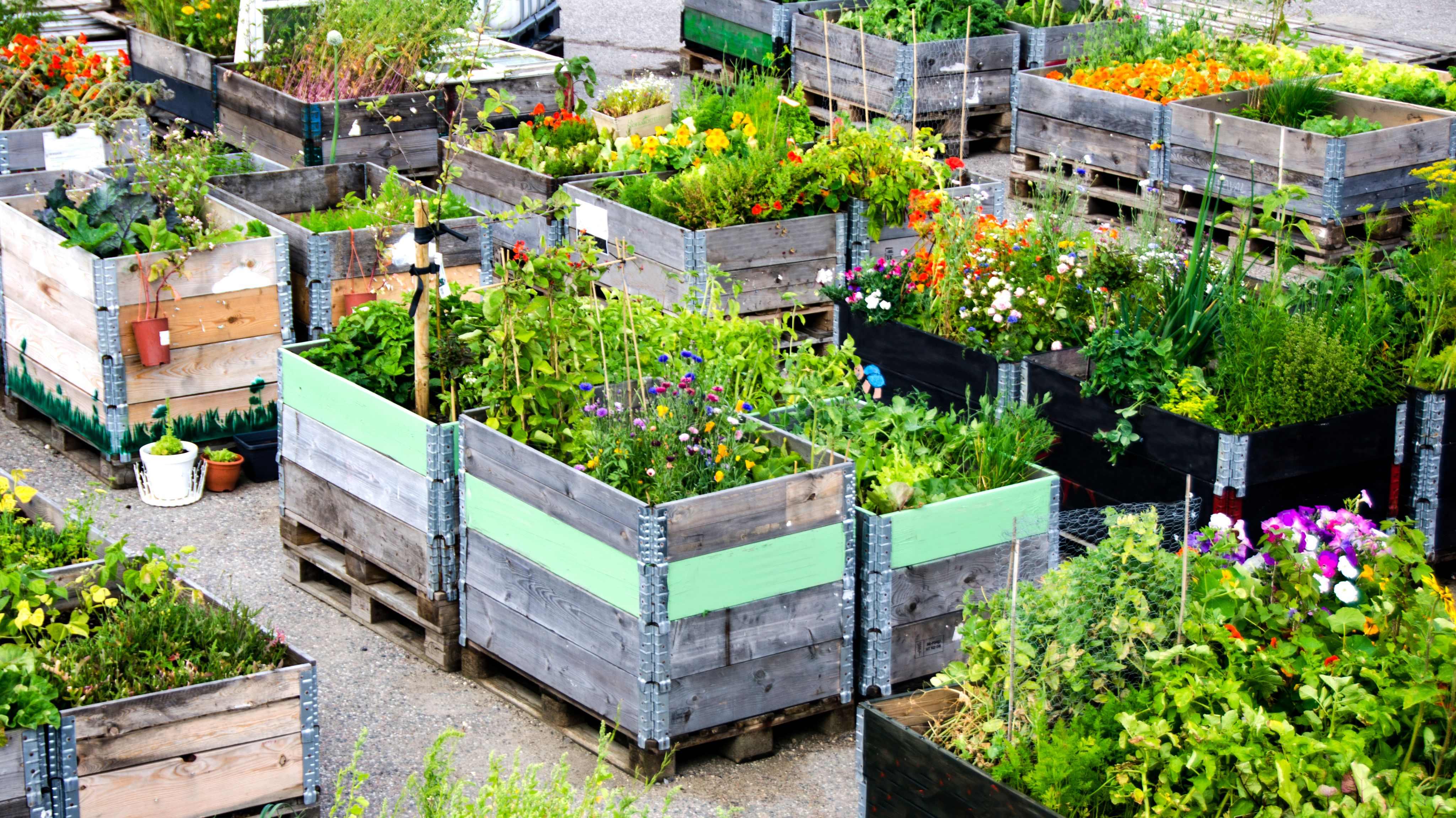 Urban agriculture (UA) has been increasingly viewed as a sustainable and just alternative for city-based food production.