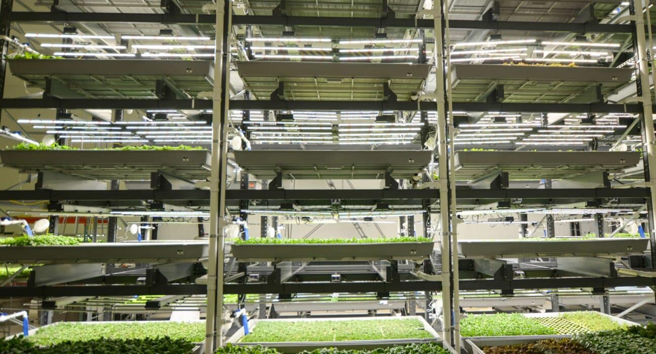 SecondBloom, in partnership with M Davis Group, will conduct the complete liquidation of Bowery Farming’s 200,000 sq. ft. vertical farming facility in Locust Grove, Georgia—one of the largest in industry history.