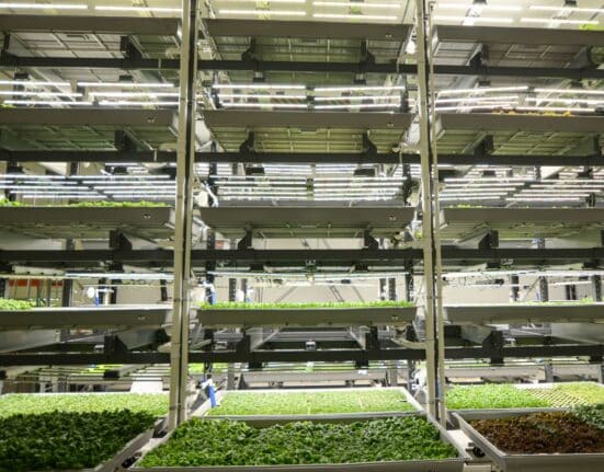 SecondBloom, in partnership with M Davis Group, will conduct the complete liquidation of Bowery Farming’s 200,000 sq. ft. vertical farming facility in Locust Grove, Georgia—one of the largest in industry history.
