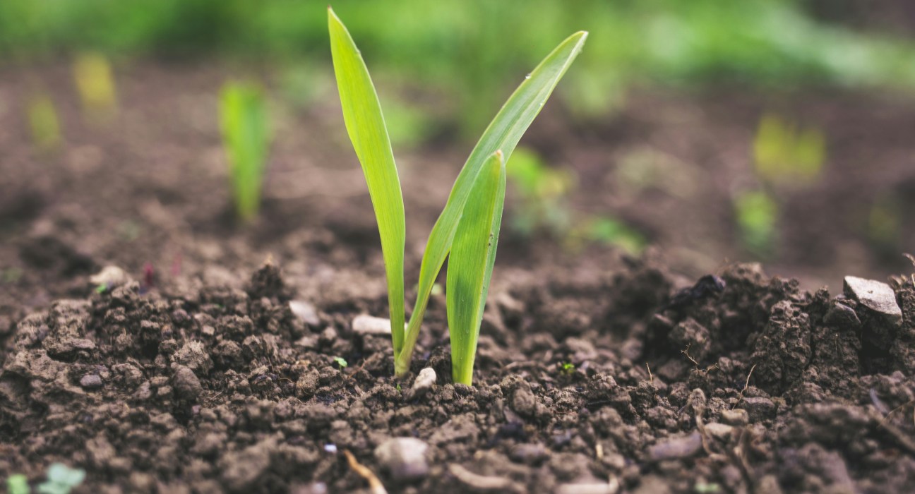 SGP Foods is a technology company based in Singapore recognized for its leadership in agriculture sustainability.