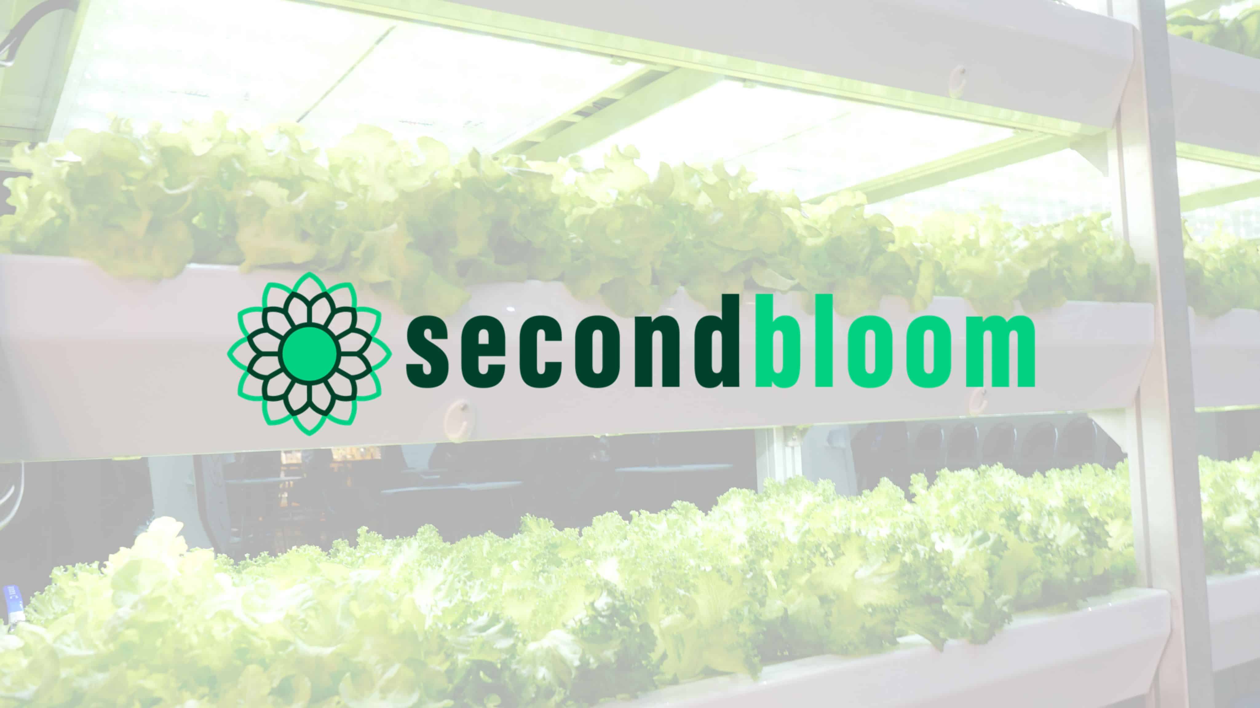 SecondBloom™ Auctions announces Jim Pantaleo as the new Business Development Director, bringing two decades of experience.