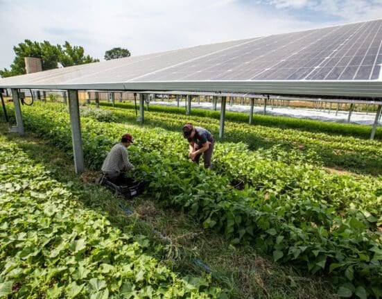 Lightstar Renewables announces the Plains Road Agrivoltaics project that integrates solar energy generation with continued agricultural use.