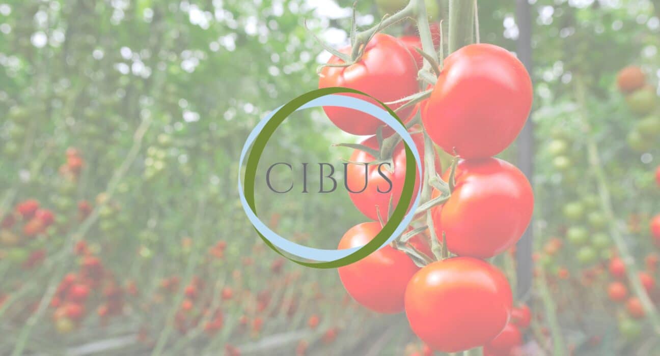 Cibus Capital LLP announced the launch of Cibus Carbon, a fund dedicated to Australian planted carbon projects in the natural capital sector.