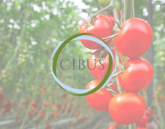 Cibus Capital LLP announced the launch of Cibus Carbon, a fund dedicated to Australian planted carbon projects in the natural capital sector.