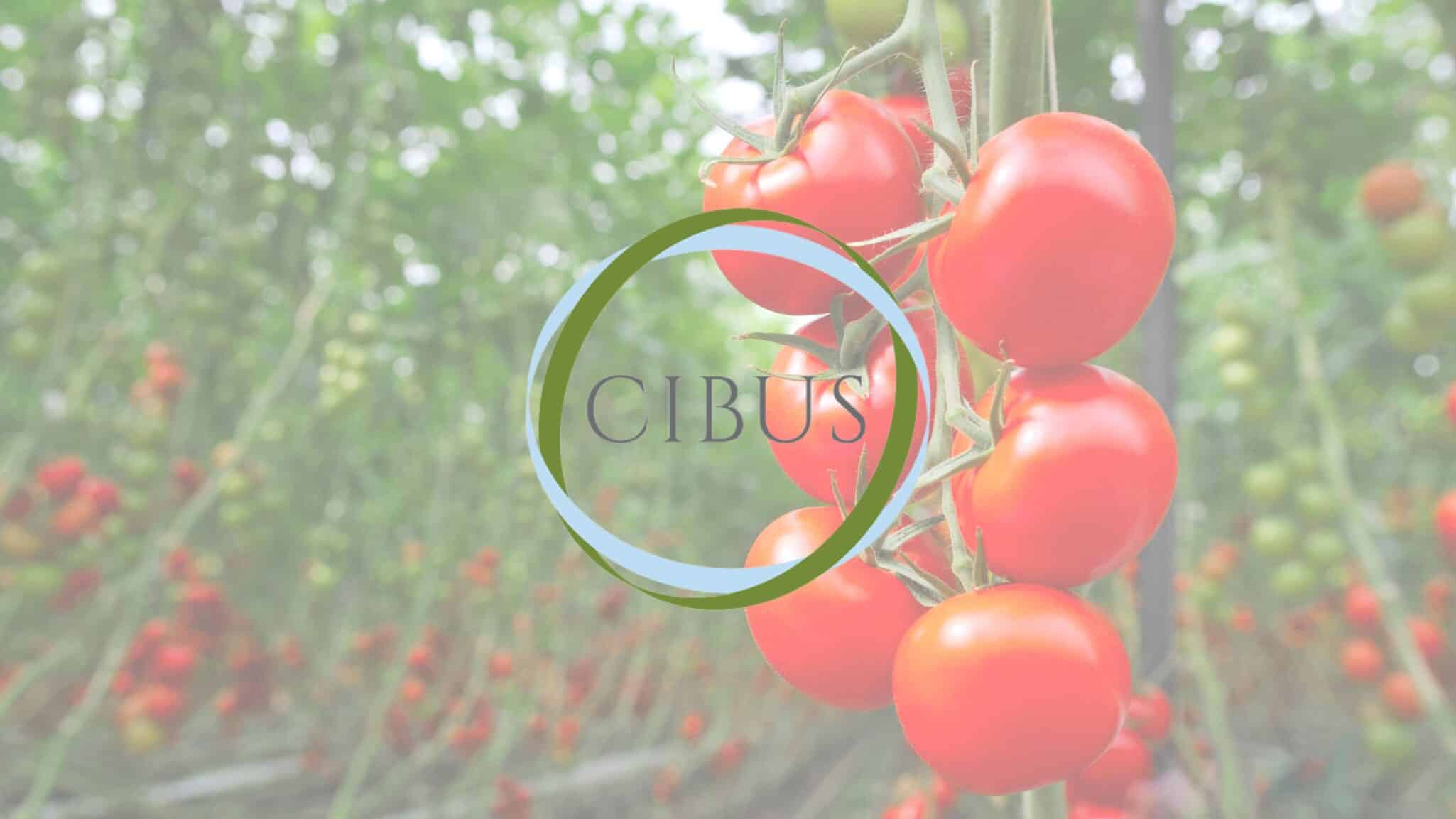 Cibus Capital LLP announced the launch of Cibus Carbon, a fund dedicated to Australian planted carbon projects in the natural capital sector.