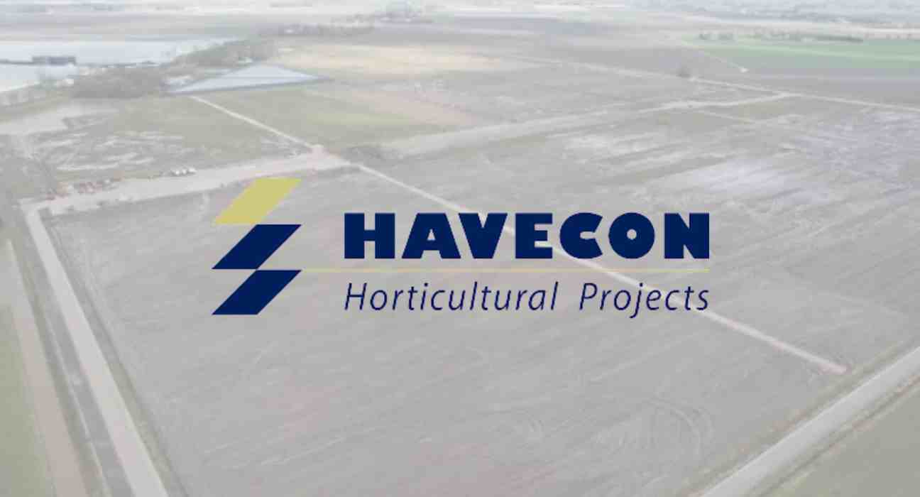 Hoogweg Paprikakwekerijen awards Havecon the project for phase 5 expansion, comprising about 31.5 hectares of new greenhouses.