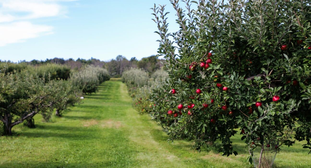 Orchard Robotics secures $22M Series A to expand AI-powered crop management tech, boosting precision farming and global reach.