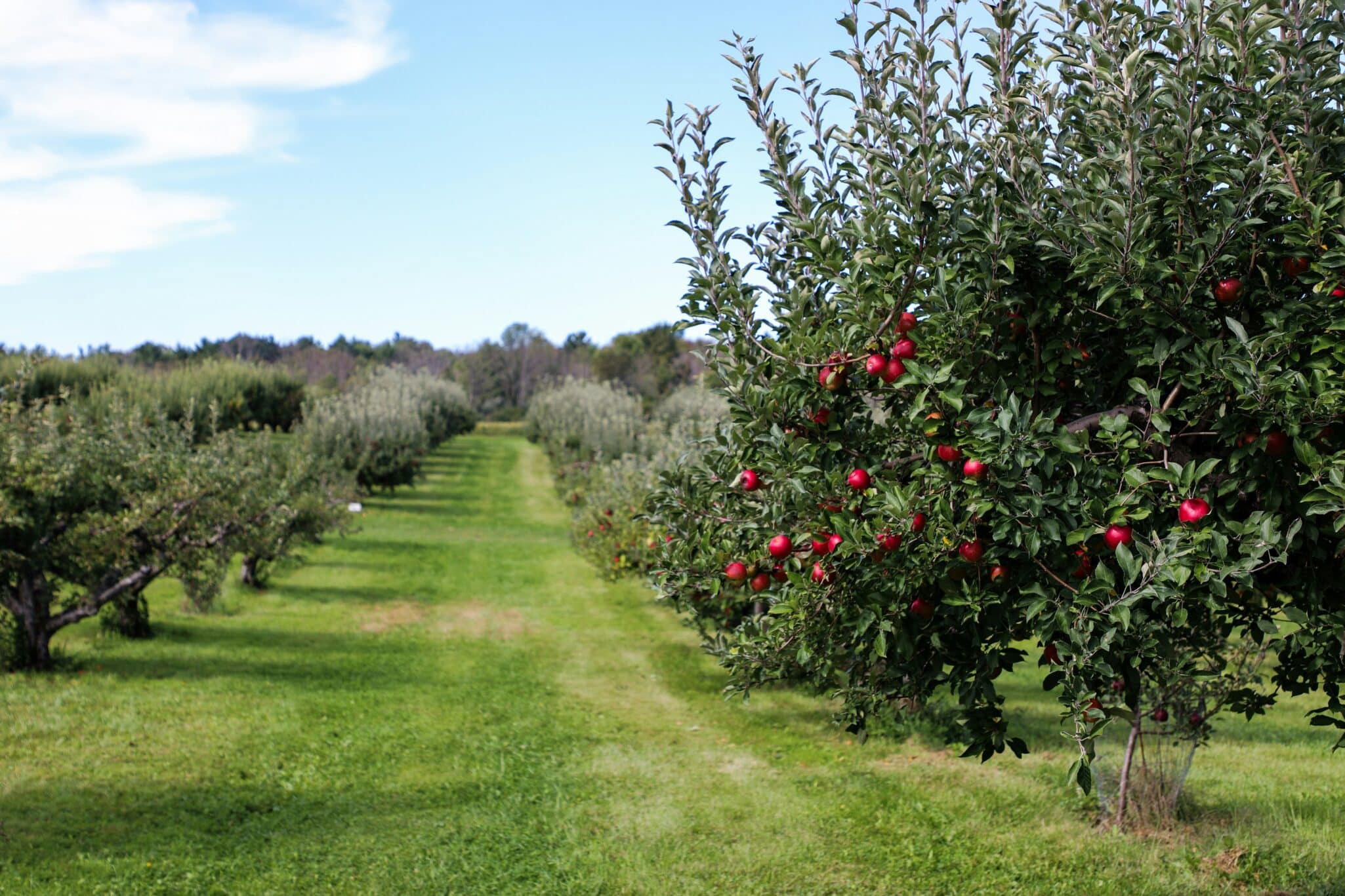 Orchard Robotics secures $22M Series A to expand AI-powered crop management tech, boosting precision farming and global reach.