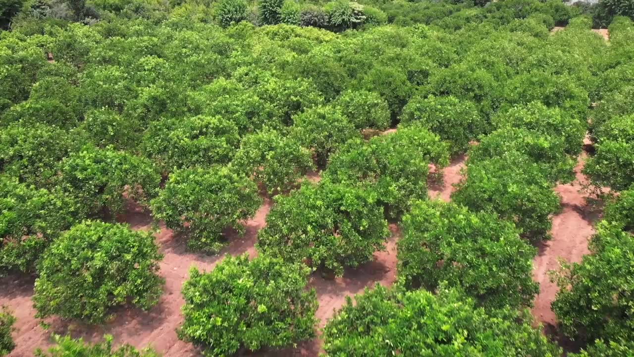Treetoscope and Nutrien Ag Solutions announce a multi-year collaboration to integrate plant-based irrigation sensors with agronomic services.