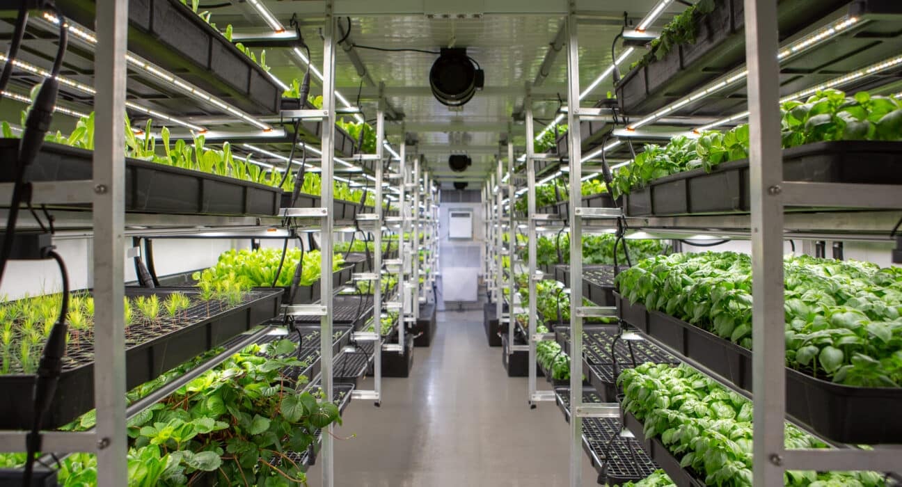 Auburn University has integrated a suite of AmplifiedAg container farms into its Transformation Garden and FoodU program.