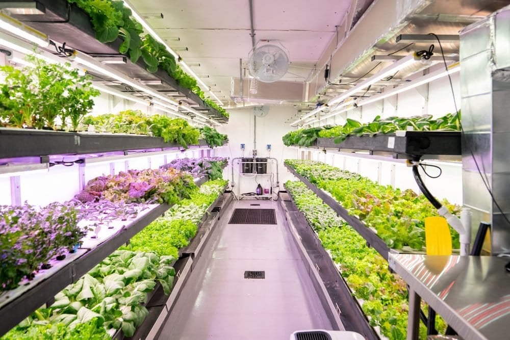 Growcer has won the bid to acquire substantially all assets of Freight Farms, the acquisition is expected to close at the end of July 2025.