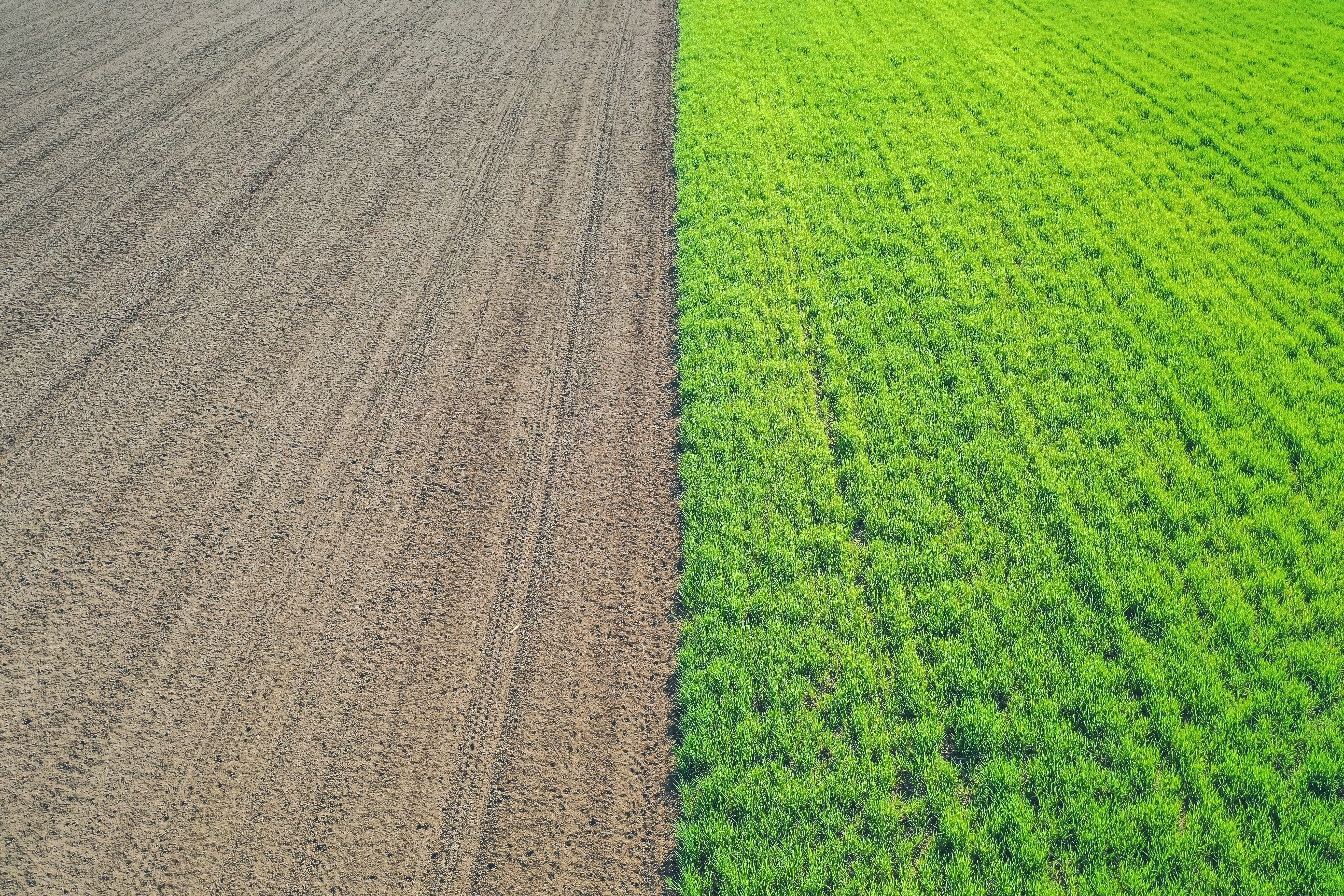 UGG® reaches its goal of influencing one million acres of grasslands toward regenerative practices a year ahead of schedule.