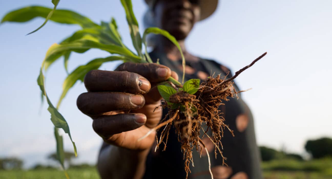 Gates Agricultural Innovations (Gates Ag One) and Corteva (NYSE: CTVA) have entered a collaboration to accelerate agricultural innovations for smallholder farmers.