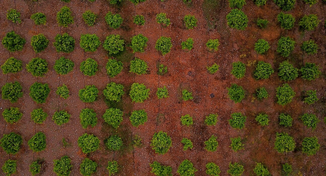 CSIRO has opened applications for its Innovate to Grow: Agriculture, Food & Technology – Queensland program targeting regional SMEs.