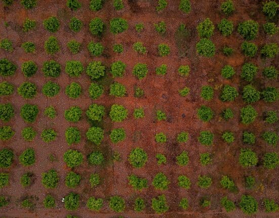 CSIRO has opened applications for its Innovate to Grow: Agriculture, Food & Technology – Queensland program targeting regional SMEs.