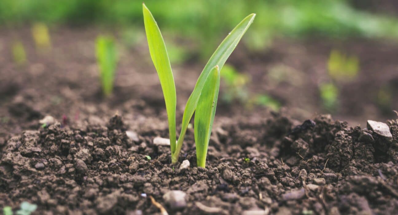 Mars, Incorporated and Fonterra are launching the Farmer Forward Program, a $27M, five-year investment to support climate-smart agriculture.