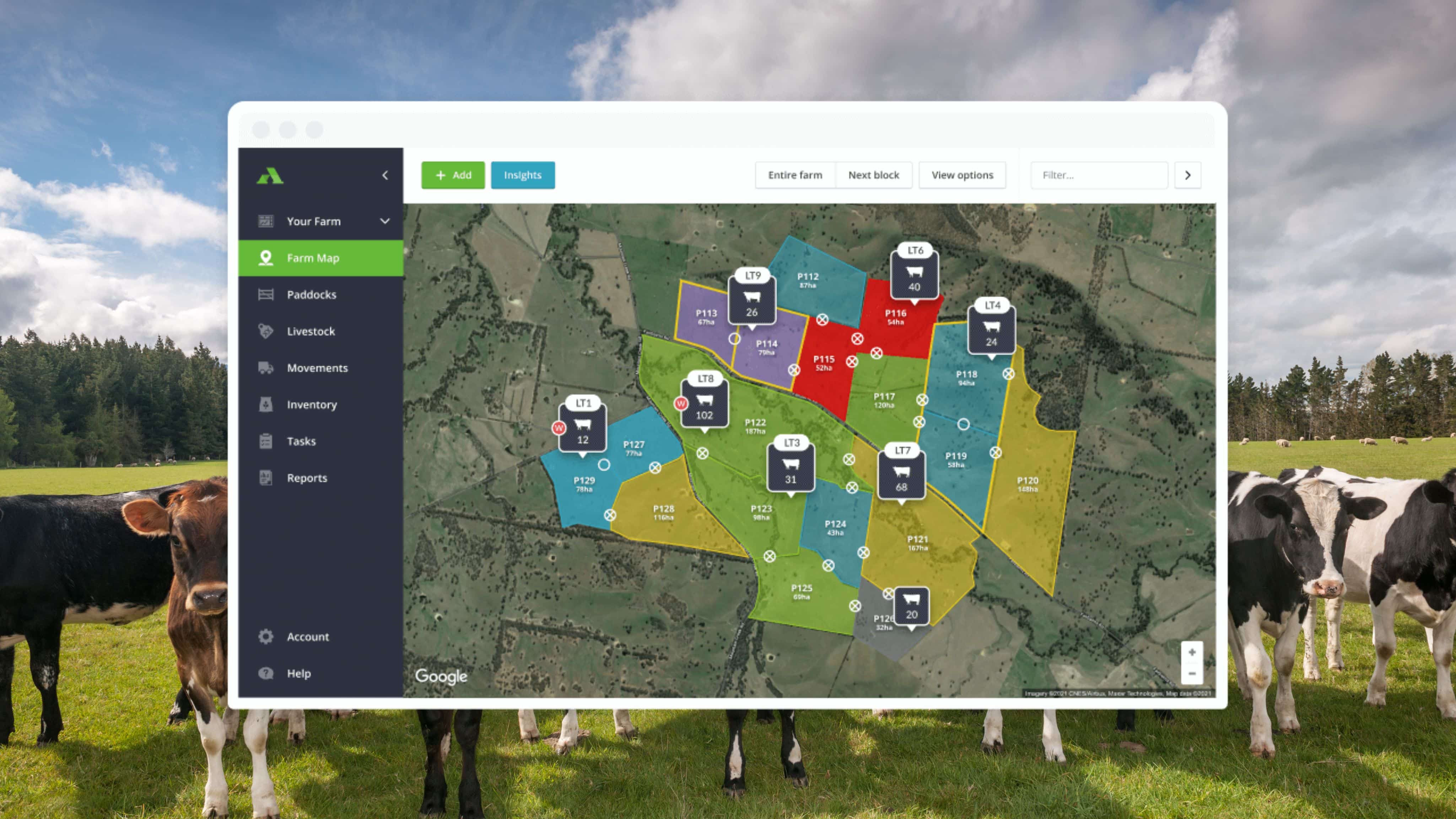 AgriWebb Secures $7.2M in Funding to Enhance Digital Beef Cattle Management