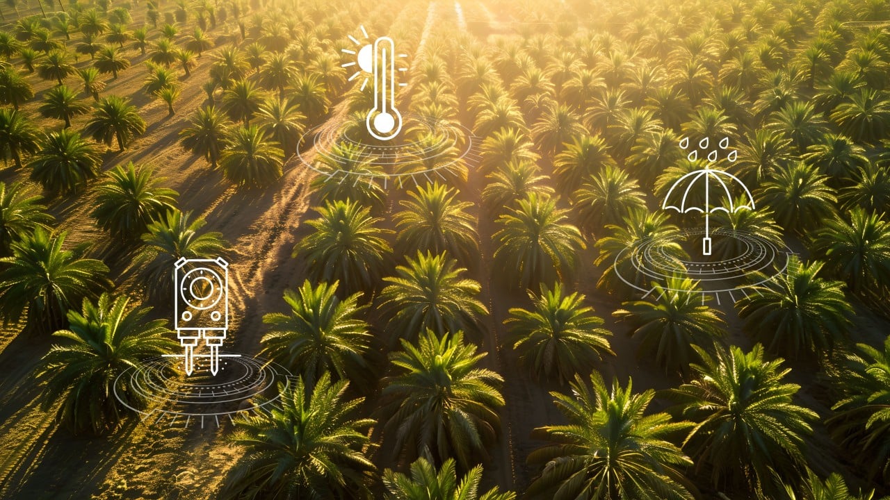 The partnership between Farmsent, DroneDash & SkyX covers an initial 2,000 hectares of palm plantations in Malaysia, with plans for expansion
