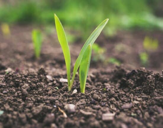 Miraterra has acquired Trace Genomics’ IP, products & Iowa lab to strengthen its capabilities in delivering soil-to-table measurement tech.